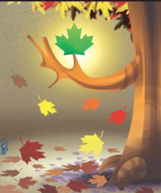 از سرگیری روابط ایران و کانادا کارتون امین منتظری، شرق