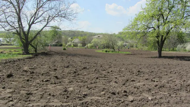 Український чорнозем заворожує 