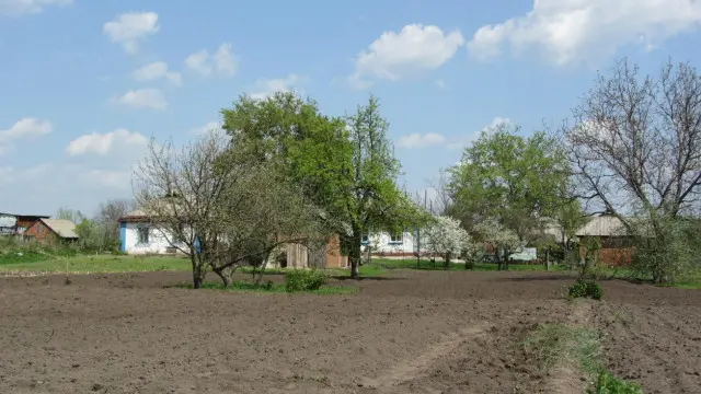 Той самий город на Полтавщині, на якому я допомагала садити картоплю та кукурудзу