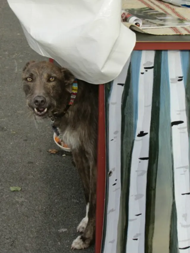 Моя терпляча помічниця Ферн