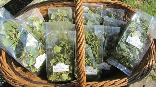 Чай - це лише один із елементів мого "березового бізнесу"