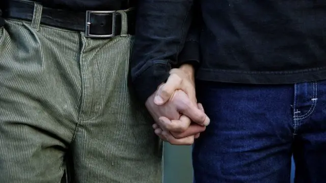 Boaert cree que los cambios en el útero de la madre pueden explicar el "fenómeno del hermano mayor".