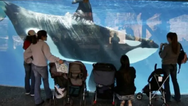 Pengunjung seaworld