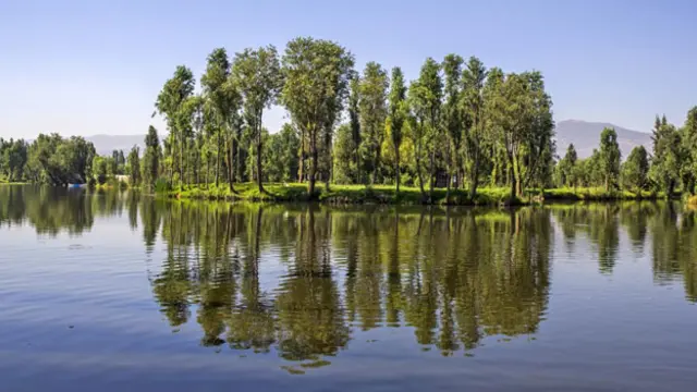  水上农庄（图片来源：Omar Torres/AFP/Getty）
