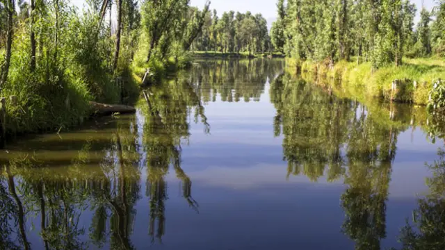 远离尘嚣（图片来源：Omar Torres/AFP/Getty）