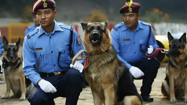 नेपाल में कुत्तों की पूजा