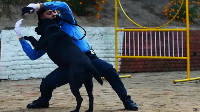 नेपाल में कुत्तों की पूजा