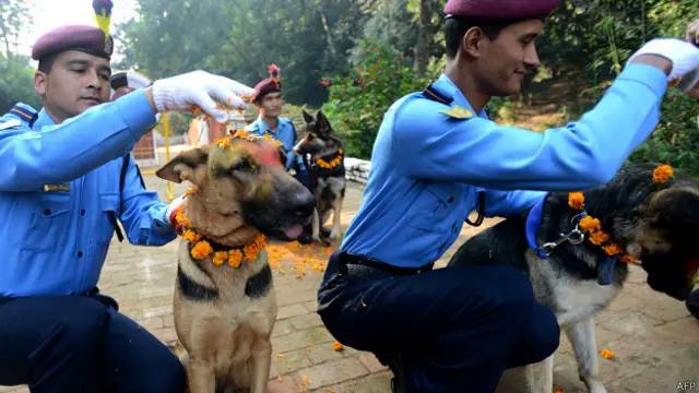 नेपाल में कुत्तों की पूजा