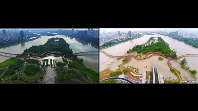 Победитель "Ландшафт года" Yanweizhou Park/Turenscape International