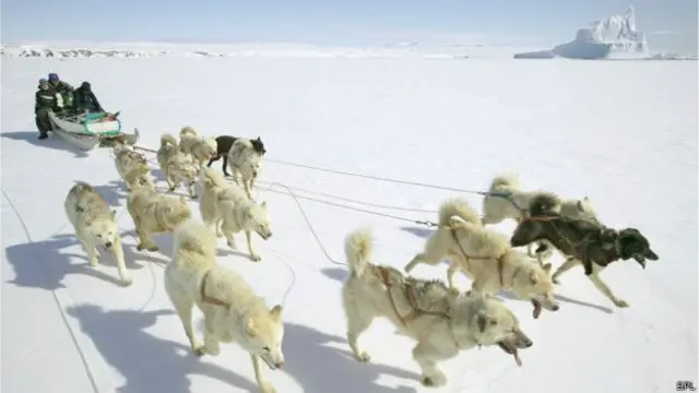 ग्रीनलैंड