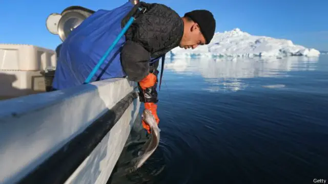 ग्रीनलैंड
