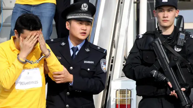 共有四架包机从印尼、柬埔寨出发遣返254名嫌犯回中国，其中一架降落在上海浦东国际机场。