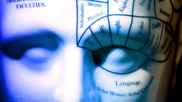 Зоны ответственности мозга