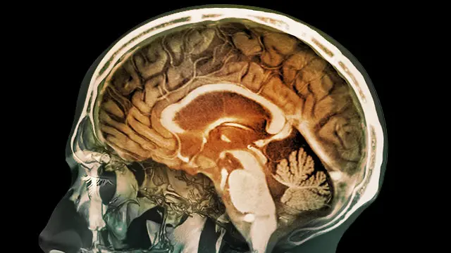 کسی بھی دوا کی آزمائش کے تین مرحلے ہوتے ہیں اور ابتدا میں کم سے کم افراد کو اس کے تجربے کے لیے چنا جاتا ہے