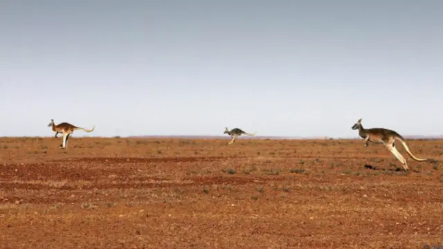 上车吧
内陆居民的大汗号豪华列车的路线之旅（图片来源：Getty）
