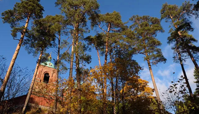 Скит и лес на Валааме