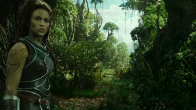 中国有着数百万Warcraft游戏的玩家