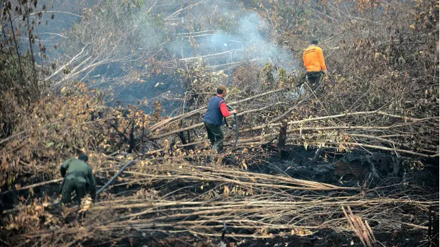 Analis mengatakan bahwa pemindahan masyarakat adat dari hutan untuk menjadi hutan lindung sudah terjadi, antara lain di Asia Tenggara.