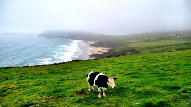 爱尔兰丁格尔半岛（Dingle Peninsula）（图片来源：Matt Long）