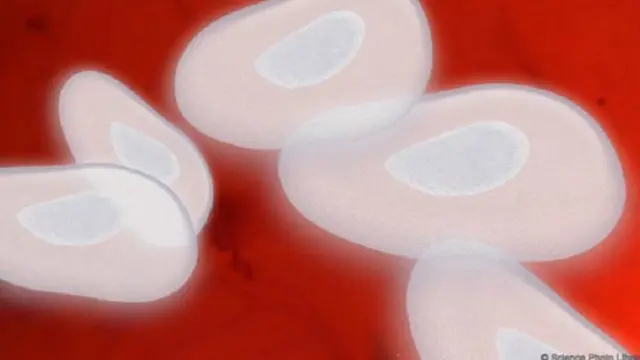 يتذكر الجهاز المناعي أعداء الماضي، مما يجعل من الأسهل التغلب على نزلات البرد عندما نتقدم في السن