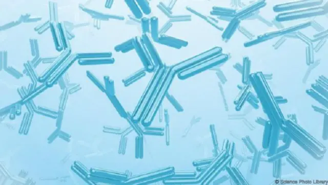 ينتج جهاز المناعة في كبار السن أجسام مضادة أقل - وهو ما قد يكون شيئا جيدا