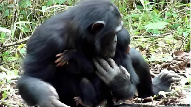 Mãe só dividia cuidados com XT11 com a filha mais velha, de 11 anos