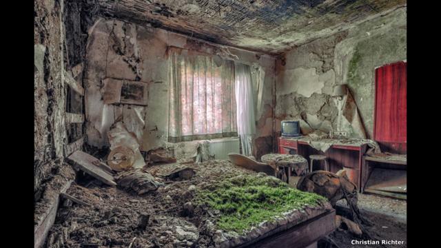 Mofo e plantas em quarto abandonado/Christian Richter