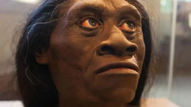 هل إنسان فلوريس المعروف باسم"الهوبيت" يمثل حالة لتقرم الجزر 