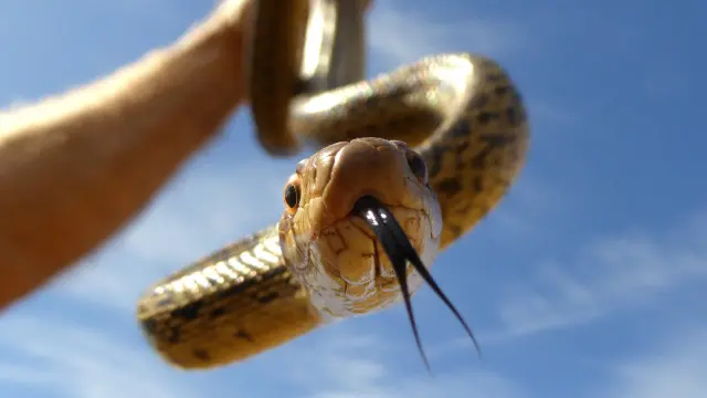 Porno sayt VK Onalar bilan rus porno qiyin