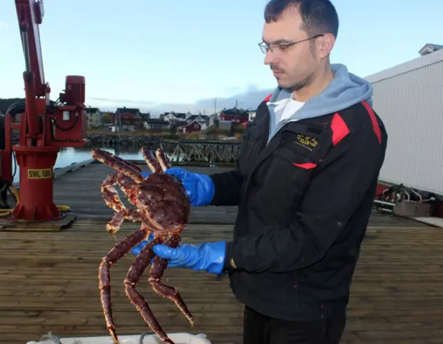 Biólogo marino ruso, Roman Vasiliev