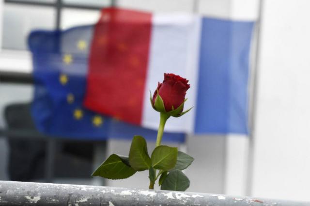 Цветок на фоне французского флага