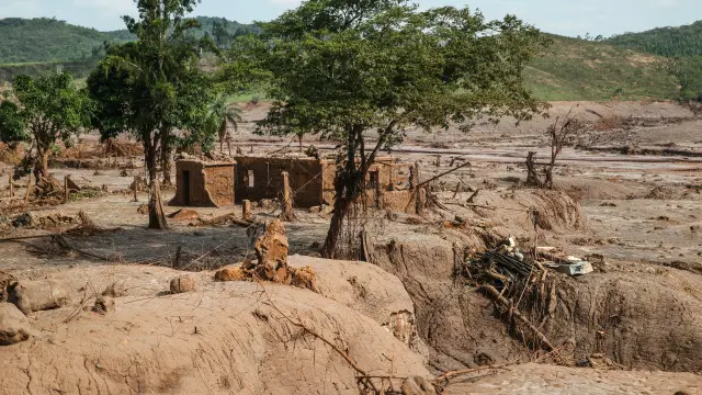 Daniela Fichino I Justica Global