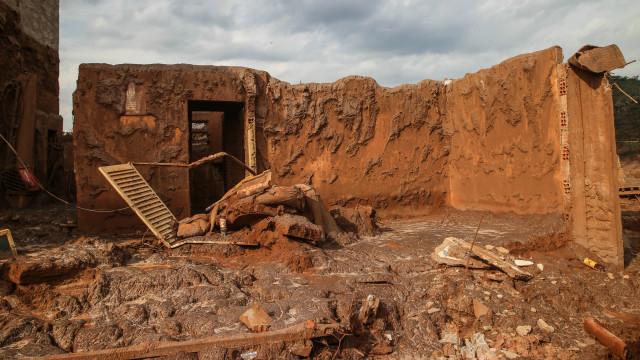 Daniela Fichino I Justica Global