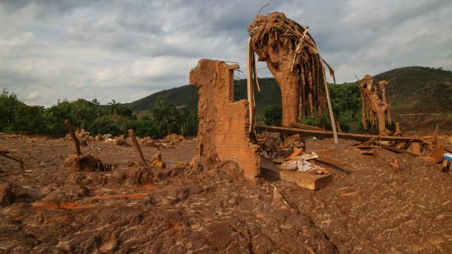 Daniela Fichino I Justica Global