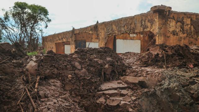 Daniela Fichino I Justica Global