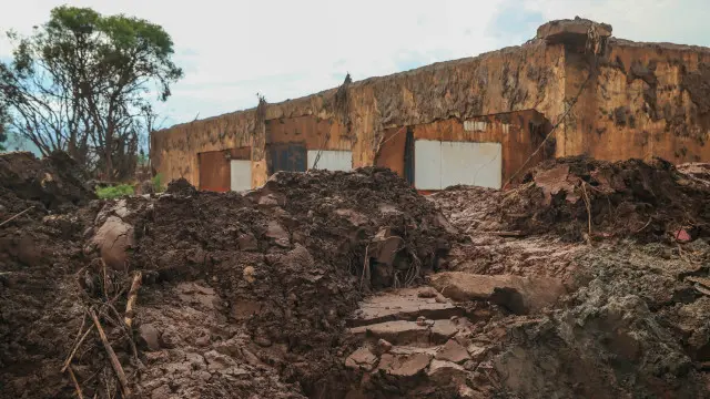 Daniela Fichino I Justica Global