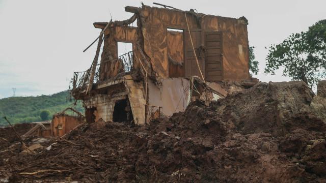 Daniela Fichino I Justica Global