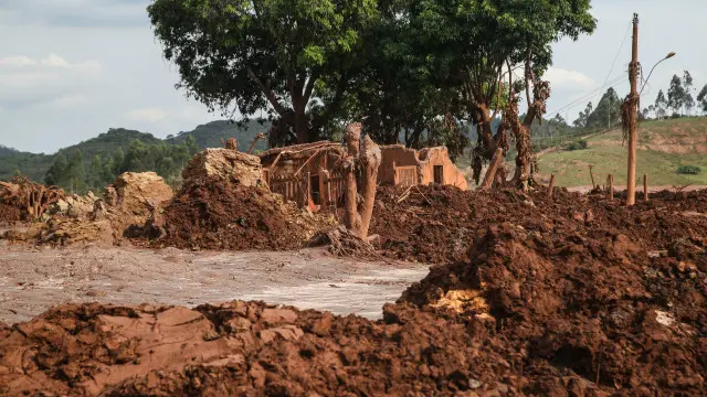 Daniela Fichino I Justica Global