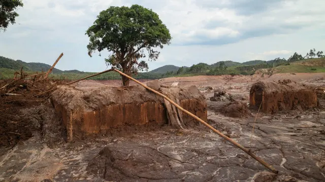 Daniela Fichino I Justica Global