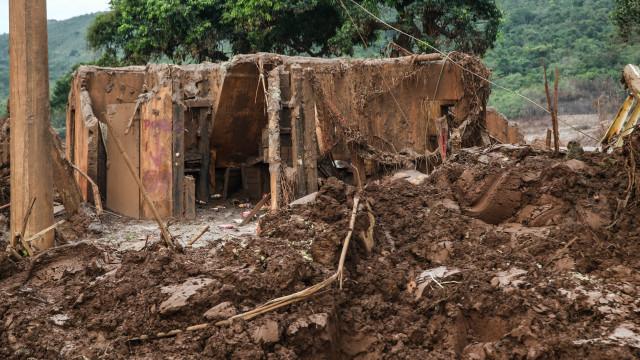 Daniela Fichino I Justica Global