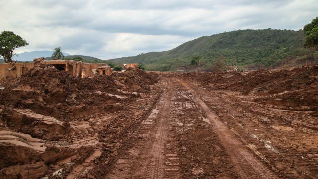 Daniela Fichino I Justica Global