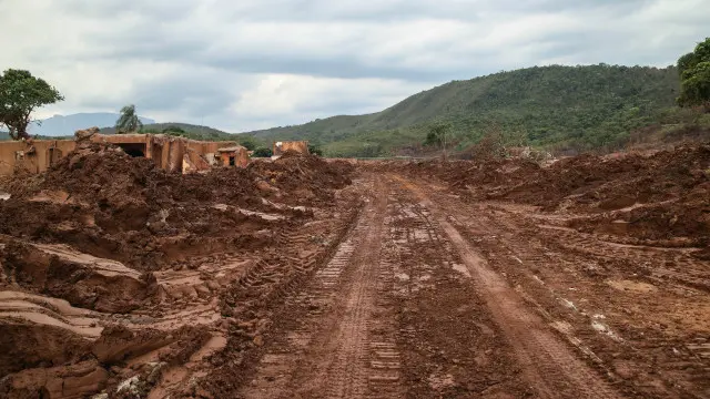 Daniela Fichino I Justica Global