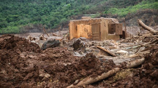 Daniela Fichino I Justica Global