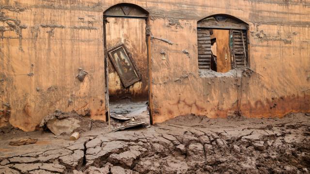 Daniela Fichino I Justica Global