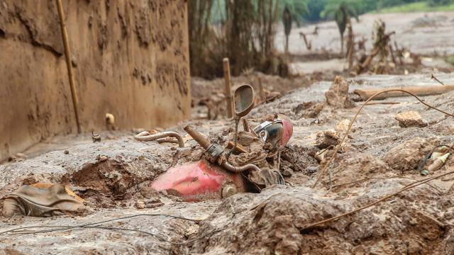 Daniela Fichino I Justica Global