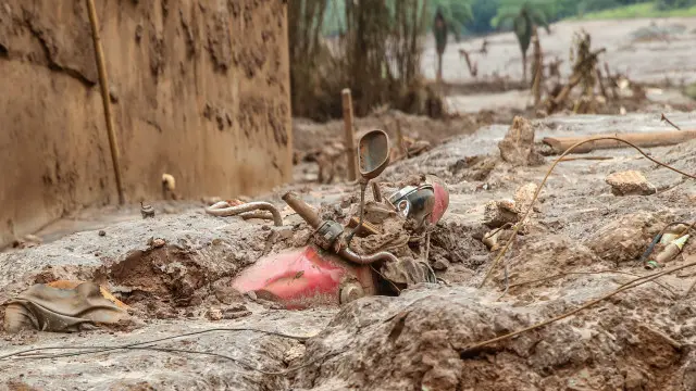 Daniela Fichino I Justica Global