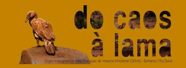 Em quatro dias, grupo conseguiu mais de R$ 50 mil em financiamento coletivo para estender monitoramento em MG e ES