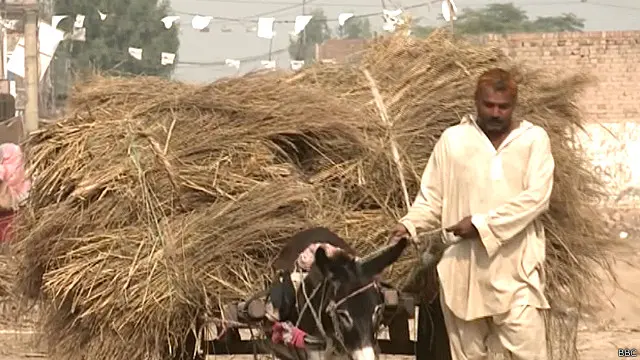 ????? ?? ???? ??? ?? ??????? ???? ??? ????? ??????? ?? ???? ???? ?????? ???