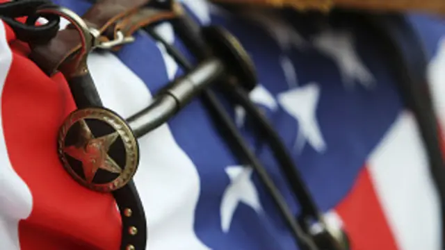 Estrella de Texas y bandera