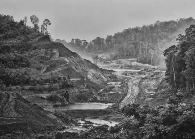 कार्मिनेक अवार्ड